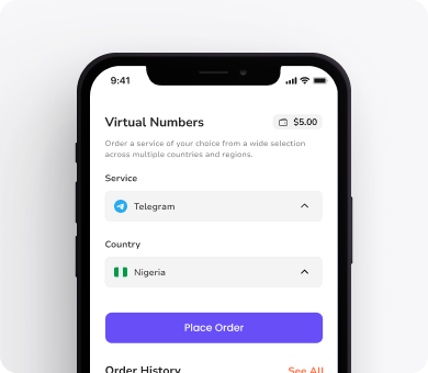 Virtual Numbers 